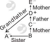 
blood relation puzzle type kn11