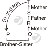 
blood relation puzzle type kn2