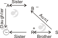 
blood relation puzzle type kn6